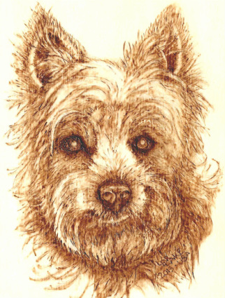 Pyrography of Alfie